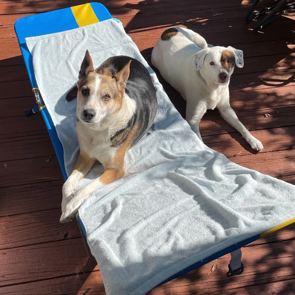 Meet your Posh Ambassador, Becca 🦄 - Picture 8 of 10